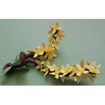 Sizzlits Mellem - Blomst, Forsythia