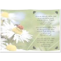 5 fogli trasparenti, fogli A5, poesie per quanto ho te