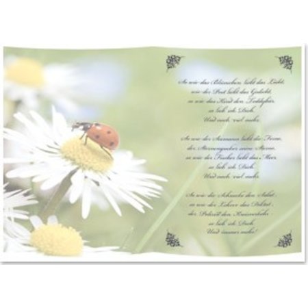 BASTELZUBEHÖR / CRAFT ACCESSORIES 5 Transparent papir, ark A5, dikt så mye som jeg har deg