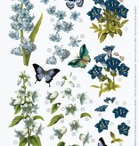 BILDER / PICTURES: Studio Light, Staf Wesenbeek, Willem Haenraets 3D die campanule foglio singolo, genziana, iris, A4