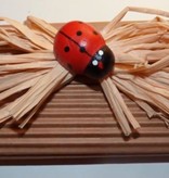 BASTELZUBEHÖR / CRAFT ACCESSORIES Wellpappe, grob, A5, 10 Blatt