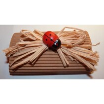 Wellpappe, grob, A5, 10 Blatt