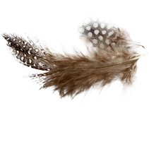 Guinea fowl feathers, about 100 pc., Nature, 3 g