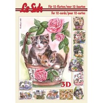 3D de papel A5, CATS