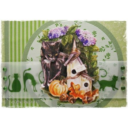 Bücher und CD / Magazines 3D Papier A5, CATS