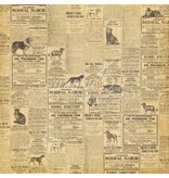 Graphic 45 Designer della carta "Raining Cats and Dogs - Cats Meow", 30,5 x 30,5 centimetri