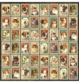 Graphic 45 Designer papier "pleut des chats et chiens -M. Whiskers", 30,5 x 30,5 cm