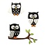 Embellishments / Verzierungen 3D Sticker: Owl sort, med lim prik, 3 stk