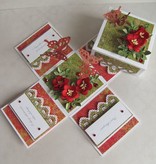 KARTEN und Zubehör / Cards scelte fondamentali: 5 scatole Explorer (senza ornamenti)