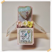 choix de base: 4 boîtes de cartes Explorer (sans ornements)