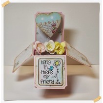 scelte di base: 4 scatole di carte di Explorer (senza ornamenti)