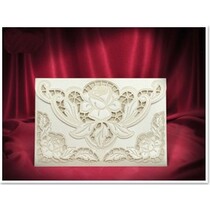 NIEUW: Exclusieve Edele envelop roomrozen kaarten