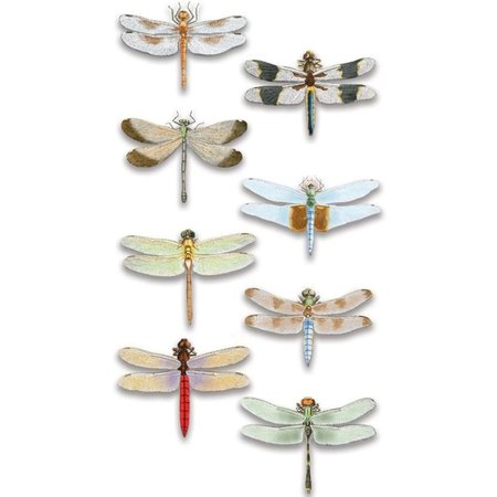 Embellishments / Verzierungen Luxury 3D sticker dragonfly, dimensional