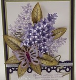 Heartfelt Creations aus USA EXCLUSIVE HEARTFELT aus den USA!