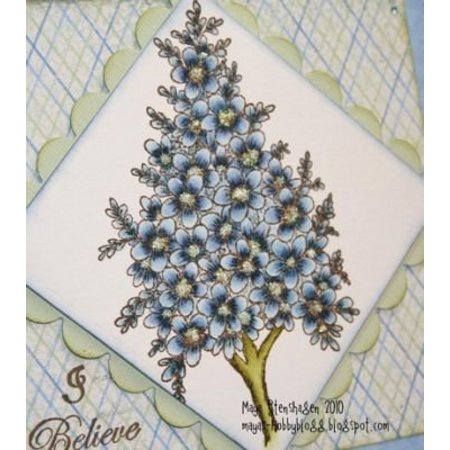 Heartfelt Creations aus USA EXCLUSIVE HEARTFELT aus den USA!