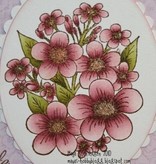 Heartfelt Creations aus USA EXCLUSIVE HEARTFELT aus den USA!