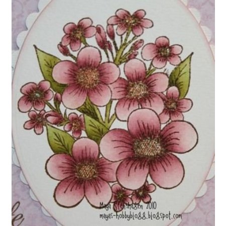 Heartfelt Creations aus USA EXCLUSIVE HEARTFELT aus den USA!
