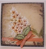 Heartfelt Creations aus USA EXCLUSIVE HEARTFELT aus den USA!