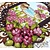 Heartfelt Creations aus USA fra EXCLUSIVE dyptfølt Collection fra USA!