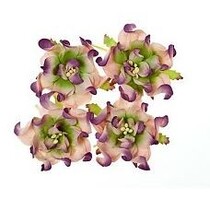 Gardenia 5 cm, 4 pieces, 2 colors, Lilla / green