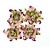 BLUMEN (MINI) UND ACCESOIRES Gardenia 5 cm, 4 pezzi, 2 colori, Lilla / verde