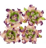 BLUMEN (MINI) UND ACCESOIRES Gardenia 5 cm, 4 stuks, 2 kleuren, Lilla / groen