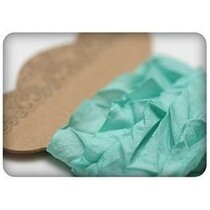 Shabby Aquamarine Ribbon 10mm 1m