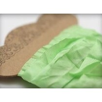 Shabby Ribbon Fresh Green 10 mm, 1 m