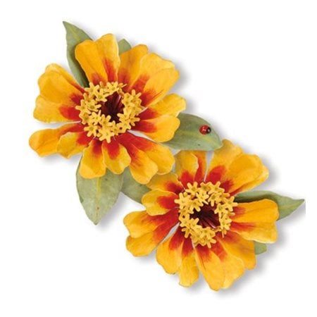 Sizzix Stanz- und Prägeschablone, Sizzix,ThinLits - Flower, Zinnia