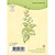 Leane Creatief - Lea'bilities Clear Stamps, Ivy