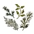 Sizzix Stamping and embossing stencil, Sizzix thinlits, Set of 4 branches with leaves