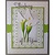 Spellbinders und Rayher Spellbinders Estampado y la plantilla de grabación en relieve, Nestabilities, marco decorativo y la etiqueta