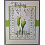 Spellbinders und Rayher Spellbinders Estampado y la plantilla de grabación en relieve, Nestabilities, marco decorativo y la etiqueta