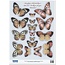 Embellishments / Verzierungen To die cut ark, med mer enn 30 sommerfugler