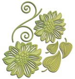 Spellbinders und Rayher plantillas de punzonado y estampado en relieve Shapeabilities, flores románticas