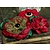 Prima Marketing und Petaloo flores Petaloo, rojo