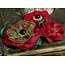 Prima Marketing und Petaloo Petaloo bloemen, rood