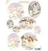 A4 sheet of pictures winter animals pictures and