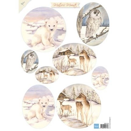 A4 sheet of pictures winter animals pictures and