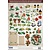Embellishments / Verzierungen Grande idéia! Folhas cortadas morrer com acessórios feitos de cartolina 250g, A4