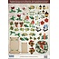Embellishments / Verzierungen Great idea! Die cut sheets with accessories made of 250g card stock, A4