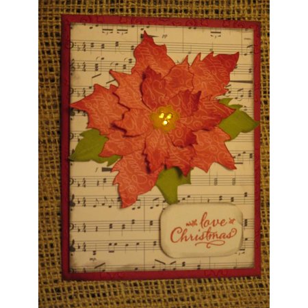 Sizzix Kutte og prege sjablonger, Bigz, Poinsettia