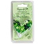 Embellishments / Verzierungen Botões Mini - cápsula (100pk) tons de verde