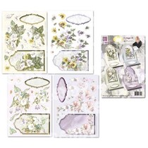 Floral card set of "Staf Wesenbeek"