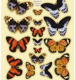 BILDER / PICTURES: Studio Light, Staf Wesenbeek, Willem Haenraets Die cortar láminas de metal grabado, "mariposas Dufex No.3"