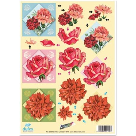 BILDER / PICTURES: Studio Light, Staf Wesenbeek, Willem Haenraets 3D Dufex morrer corte de chapa de gravura, Galeria "Grandes flores"