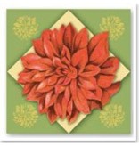 BILDER / PICTURES: Studio Light, Staf Wesenbeek, Willem Haenraets 3D Dufex morrer corte de chapa de gravura, Galeria "Grandes flores"