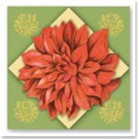 BILDER / PICTURES: Studio Light, Staf Wesenbeek, Willem Haenraets 3D Dufex morrer corte de chapa de gravura, Galeria "Grandes flores"