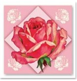 BILDER / PICTURES: Studio Light, Staf Wesenbeek, Willem Haenraets 3D Dufex morrer corte de chapa de gravura, Galeria "Grandes flores"