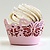Dekoration Schachtel Gestalten / Boxe ... Cupcake Wrapper, 10x23cm, 1Set = 3Stück,